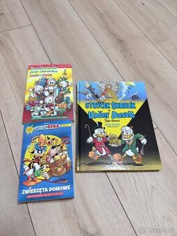 kacer donald syn slunce komiks