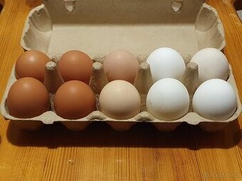 Poctivé domácí vajíčka, vejce