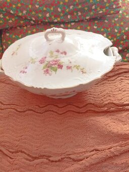 Stará terina na polevku