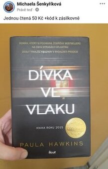 Dívka ve vlaku