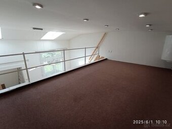 Se zahrádkou, atelier 1kk s patrem na spaní, Praha Vršovice