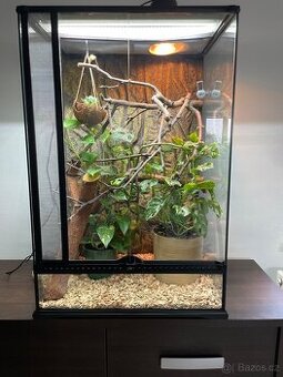 Terarium