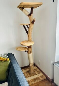 Kočičí strom