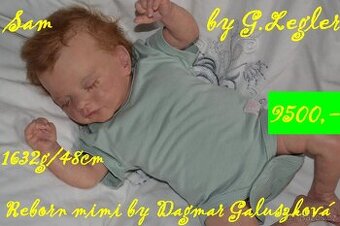 Prodám reborníčka Sama