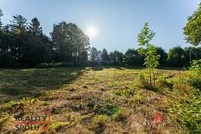 Prodej, pozemky/bydlení, 3921 m2, Zahradní, Krásná Lípa, Děč