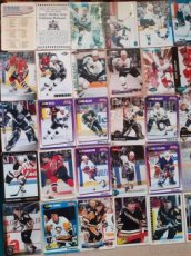 Hokejové kartičky - NHL (+ švédská reprezentace) - 1