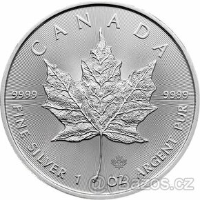 Stříbrná investiční mince Maple Leaf 1 Oz - 1