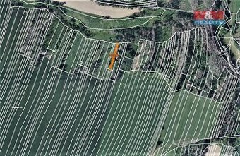 Prodej lesa, 372 m², Trhový Štěpánov - 1