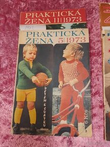 Praktická žena - 1