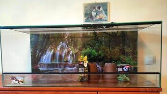 LTerarium 80x40x40 nové, sila skla 5 mm,polyuretanové pozadi