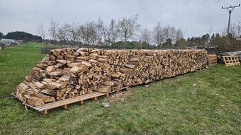 Bříza dřevo