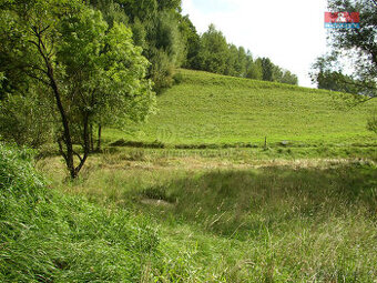 Prodej louky, 2494 m², Janův Důl