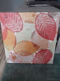 Obraz-plátno 56x56 cm