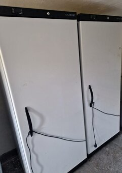 Chladicí skříň s plnými dveřmi, bílá - TEFCOLD UR 600