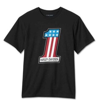 Harley-Davidson pánské triko L 99071-24VM