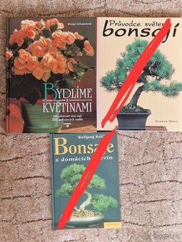 Margot Schubertová: Bydlíme s květinami