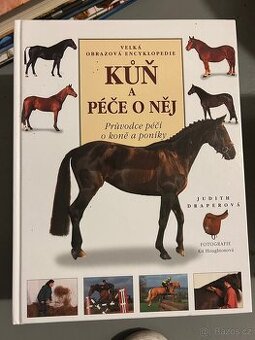 Kůň a péče o něj
