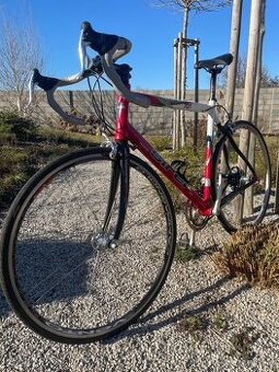 Silniční kolo SIRIO Carbon 701