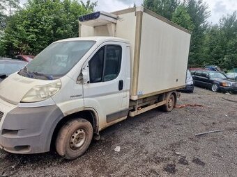 Peugeot boxer 2.2hdi chládek, mrazák převodovka po g.o, moto