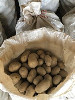 Brambory 🥔