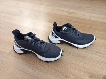 Salomon Alphacross Blast