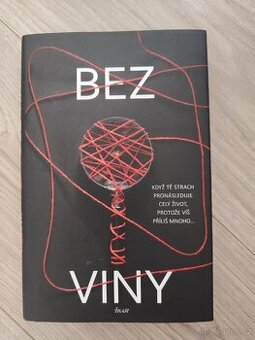 Bez viny - kniha