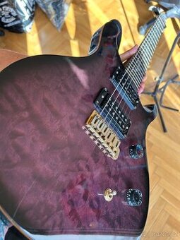 PRS SE Paul Allender signature (Cradle of Filth)