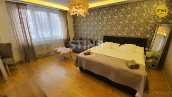 Pronájem bytu 1+kk, 124061