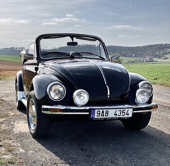 VW brouk