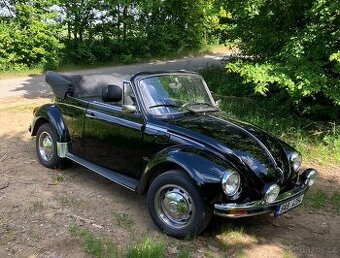 VW brouk