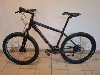 Bulls Cross Flyer