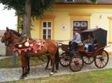 Bryčka - 1
