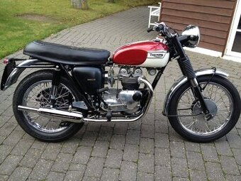 Triumph Tiger 100 Daytona 500 OHV - 1