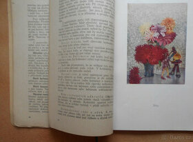 ZLATÁ KNIHA HOSPODYŇKY VITELLO - Díl 2