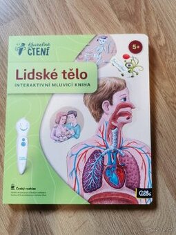 Lidské tělo Albi
