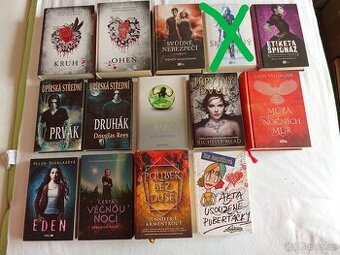 Mix fantasy knih pro dívky