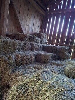 Seno - sklizeň 2025