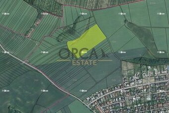 1,3 ha pozemku v k.ú. Moravany u Brna - 1
