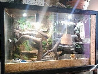 Terarium a krmení červy