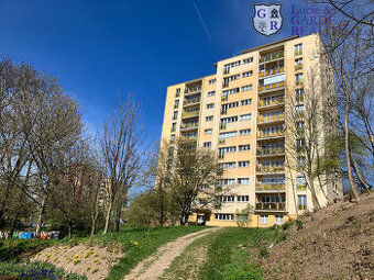 Prodej, byt 3+1, Příbram, ul. Plzeňská