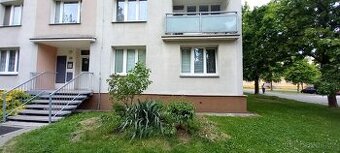 3+1 Dobřany 17 Listopadu přízemí , dlouhodobě