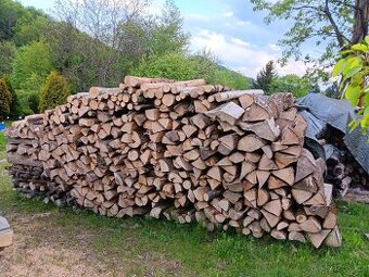 Prodám suché bukové dřevo