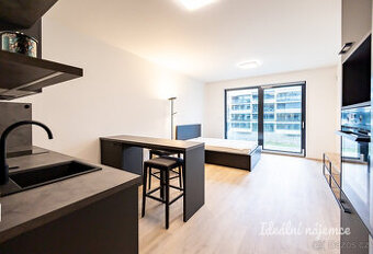 Pronájem bytu 1+kk, Šrámkové, Žižkov, 21500 Kč/měs, 36 m2