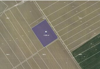 Prodej pole v k.ú. Kobylí Hlava, ev.č. 2026-04-08-191724