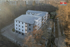 Prodej bytu 4+kk, 118 m², Cheb, ul. Břehnická - 1