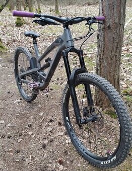 Yt capra 2019