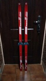 Prodám pěkné běžky 407 benner 140cm dlouhé.