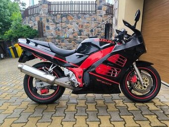 Suzuki RF 600 R