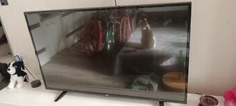 Lg TV 49UF6407, již nepotřebuji