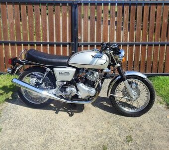 Norton